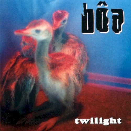 Twilight cover